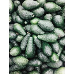 Pure Avocado Oil 40ml