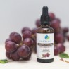 Pure Grapeseed Oil 40ml